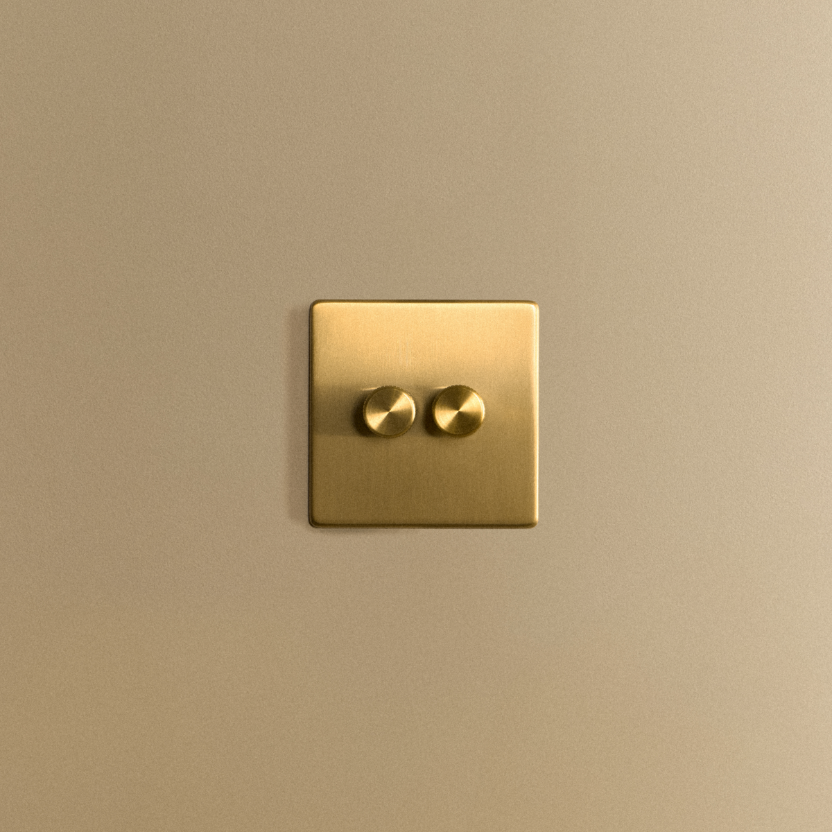 Tala Double Rotary Wall Dimmer in Brass