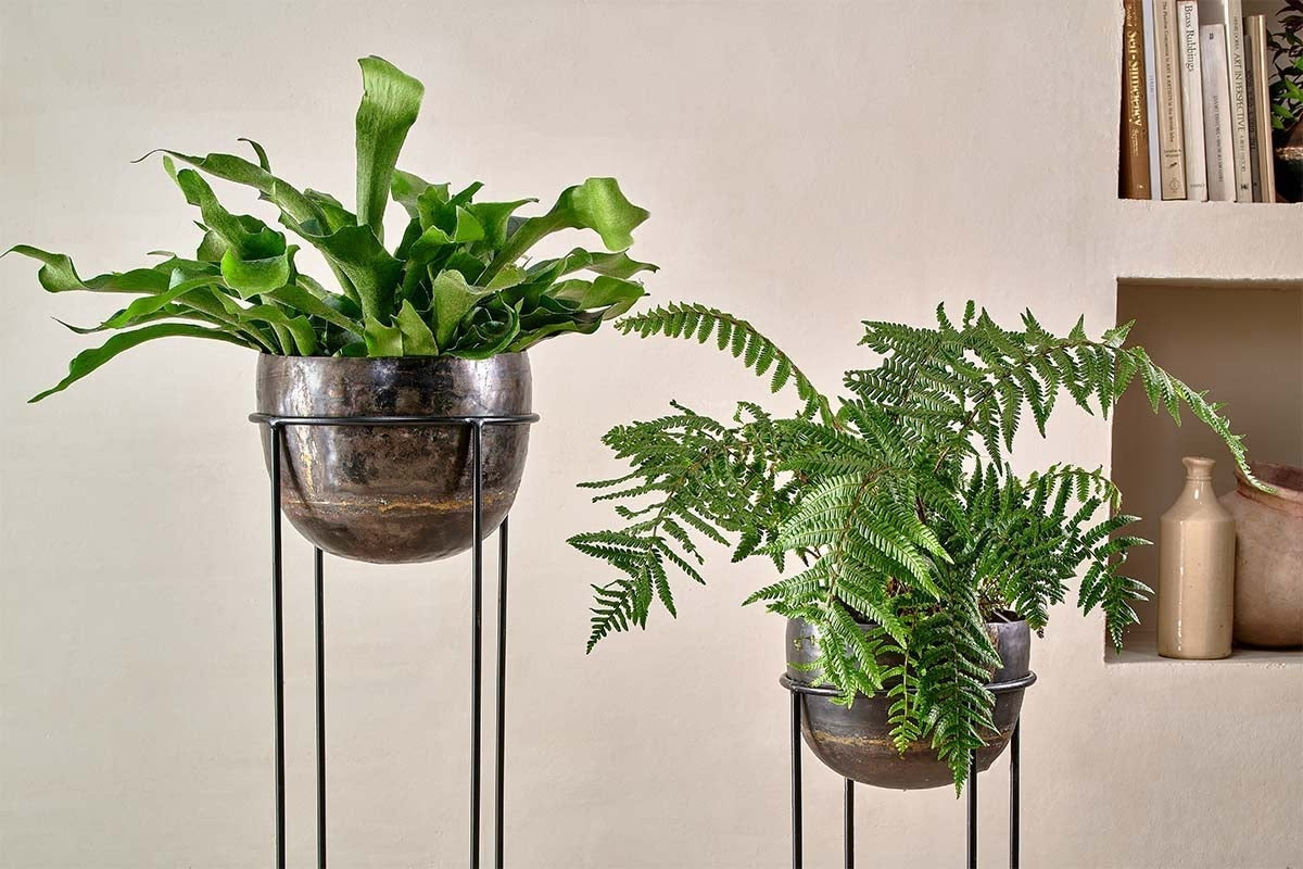Nkuku - Endo Reclaimed Iron Planter Stand - Small