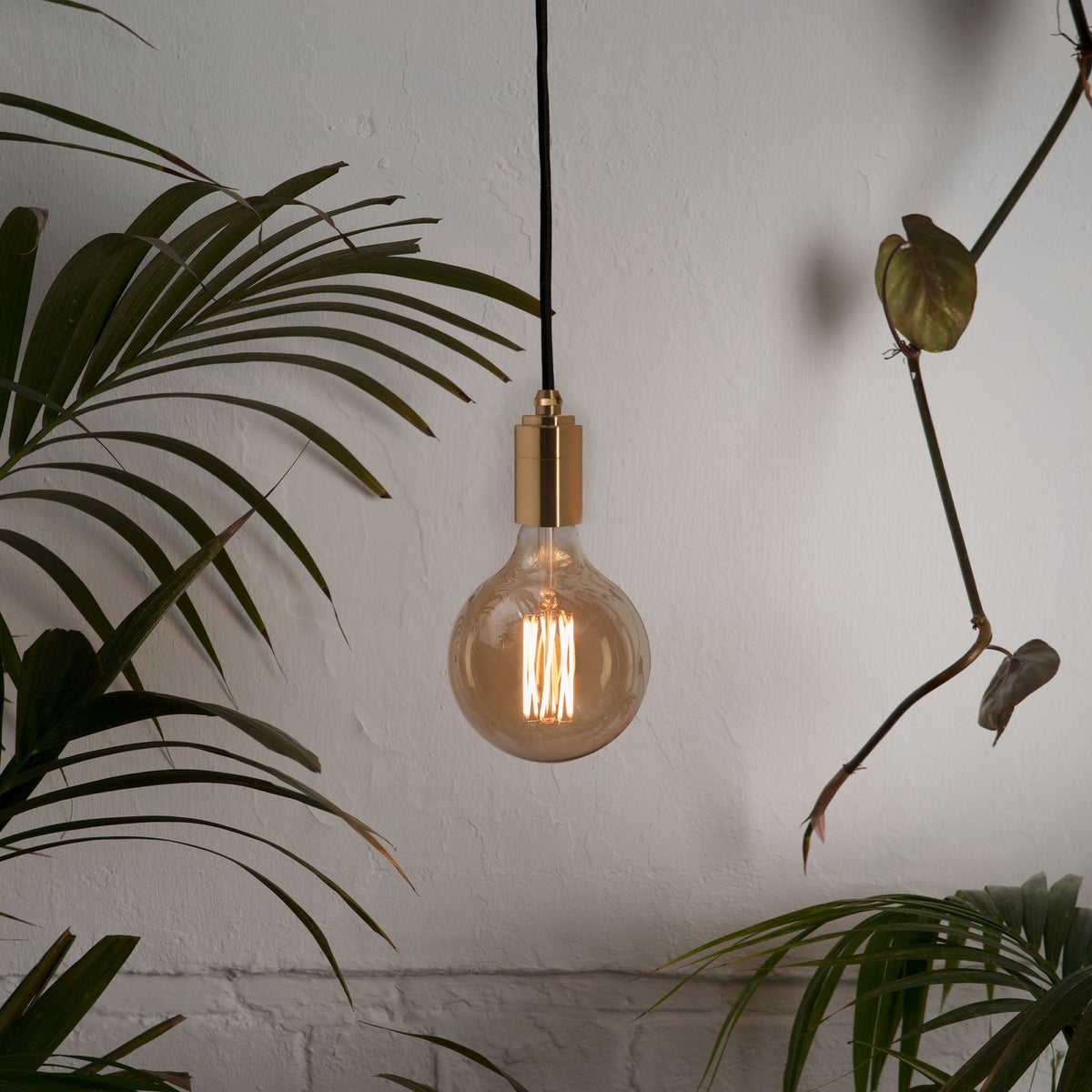 Tala Tala Gaia Plug-In Pendant in Brass
