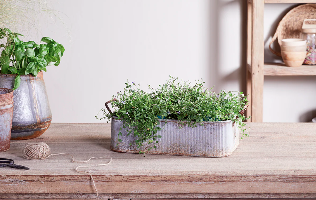 Nkuku Japos Outdoor Planter Tray - Aged Zinc