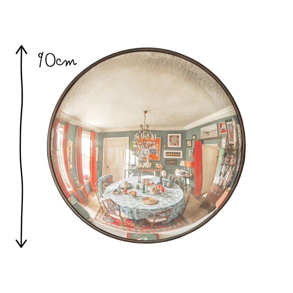 Pooky Grouper Convex Mirror