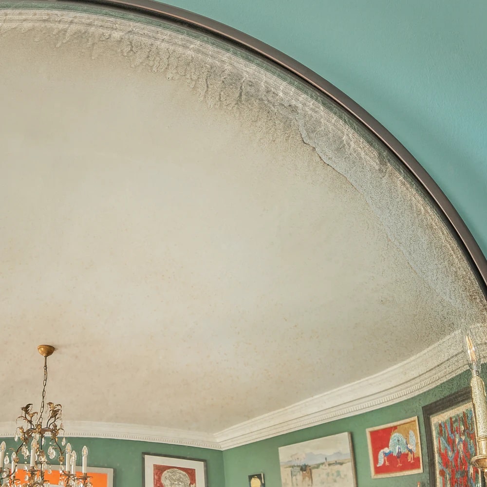 Pooky Grouper Convex Mirror