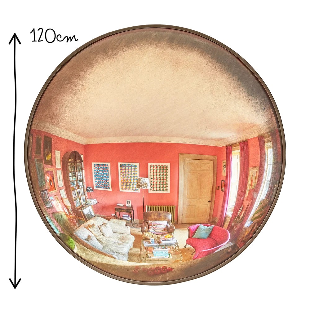 Pooky Grouper Convex Mirror