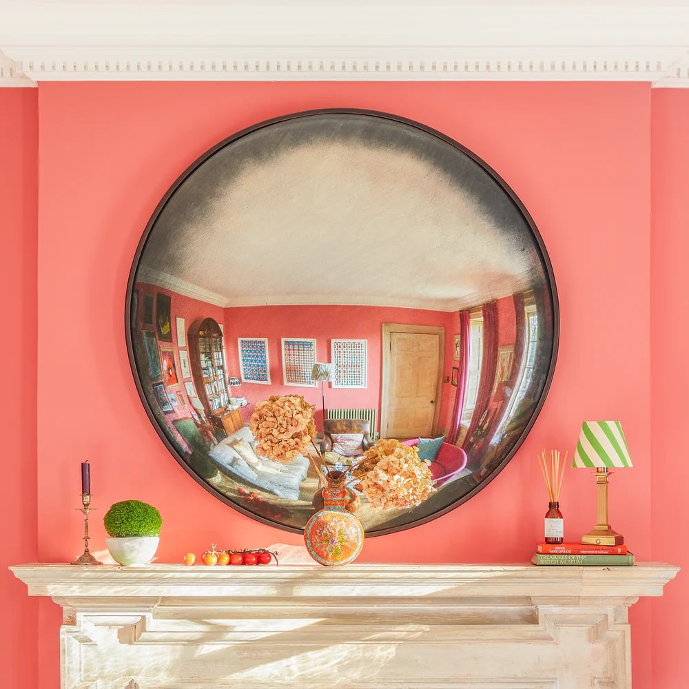Pooky Grouper Convex Mirror