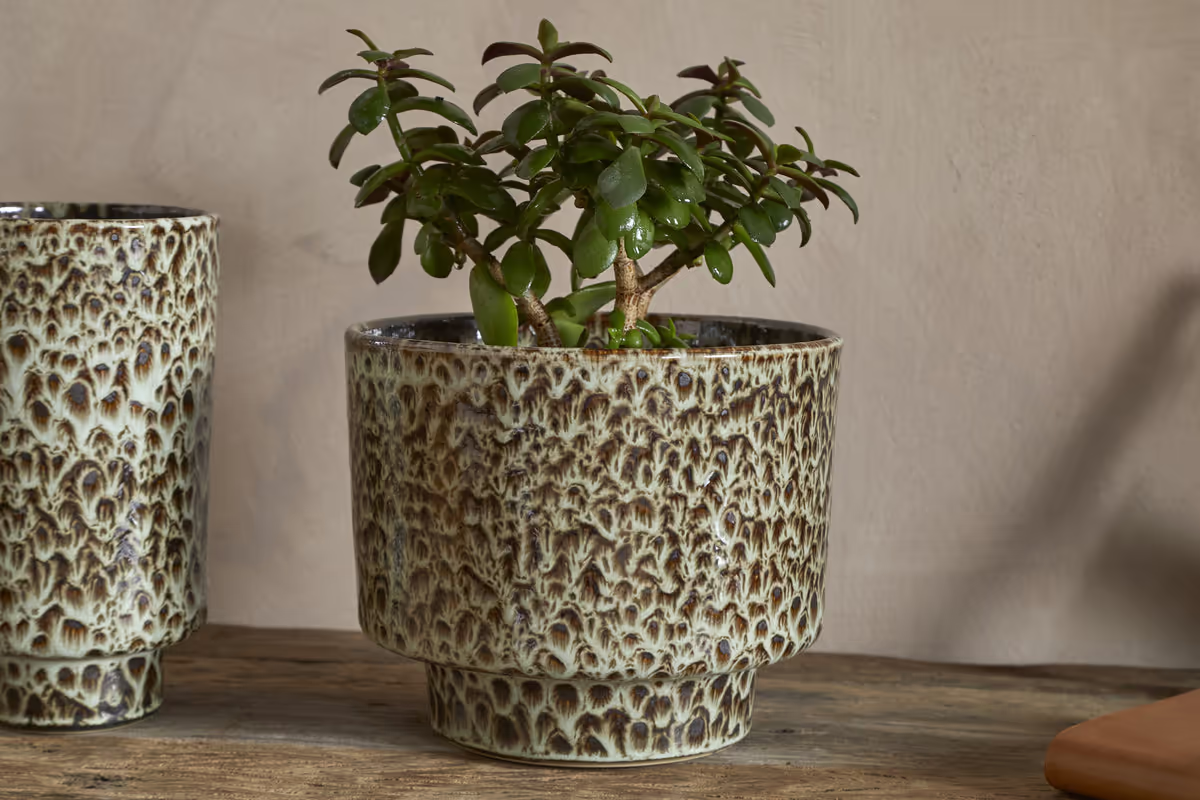 Nkuku - Uzuri Vase - Brown - Tall