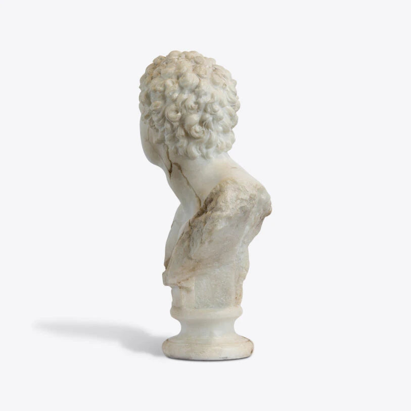 Pure White Lines A Bust Of A Young Apollo