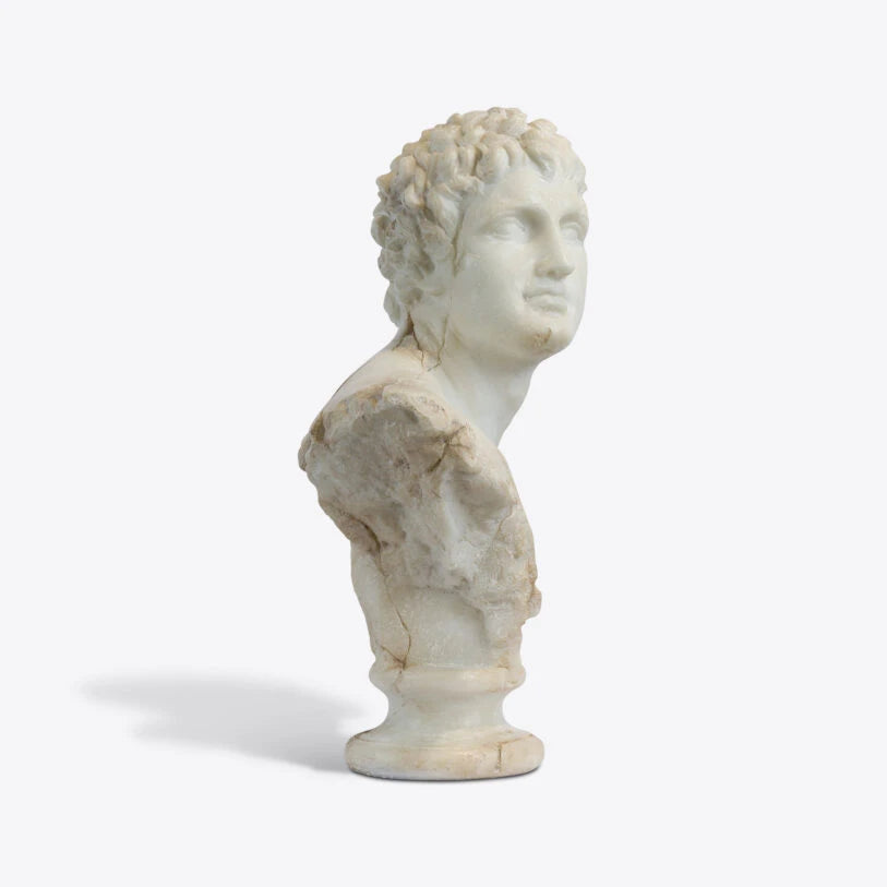 Pure White Lines A Bust Of A Young Apollo