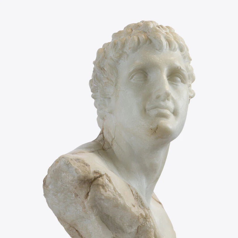 Pure White Lines A Bust Of A Young Apollo