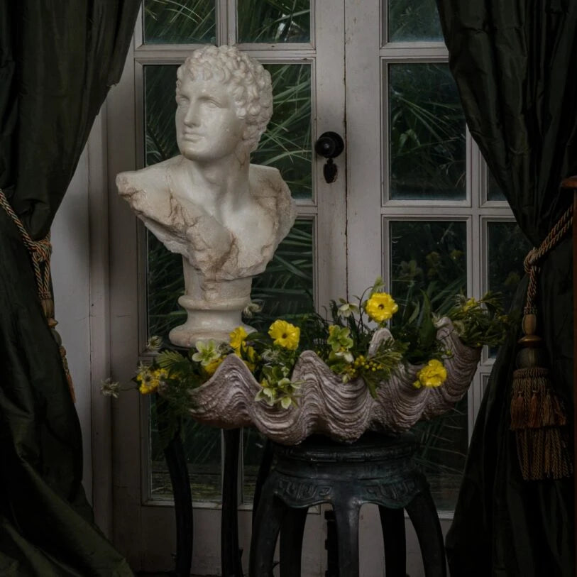 Pure White Lines A Bust Of A Young Apollo