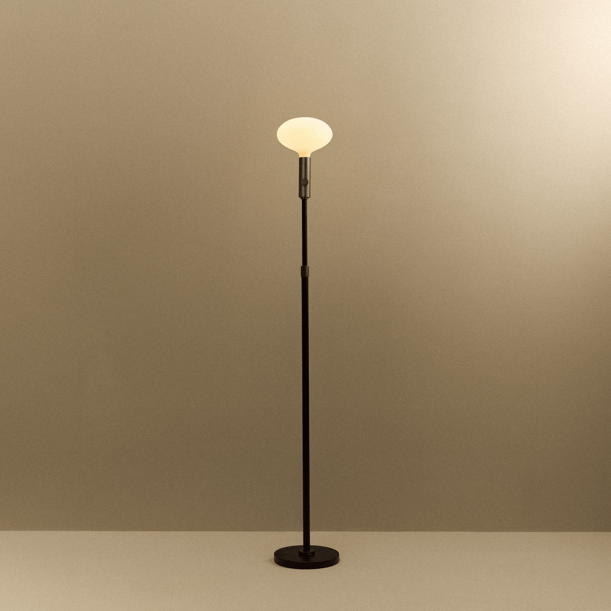Tala Poise Adjustable Floor Lamp in Graphite + Oval II