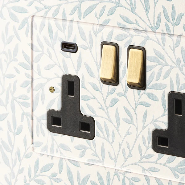 Pooky - Lucian Perspex Double Socket with USB Type C - Clear Perspex Black Inserts and Aged Brass Switch