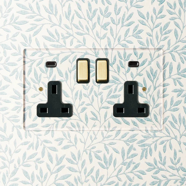Pooky - Lucian Perspex Double Socket with USB Type C - Clear Perspex Black Inserts and Aged Brass Switch