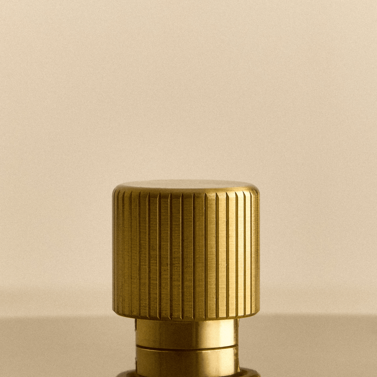 Tala Single Rotary Wall Dimmer in Brass