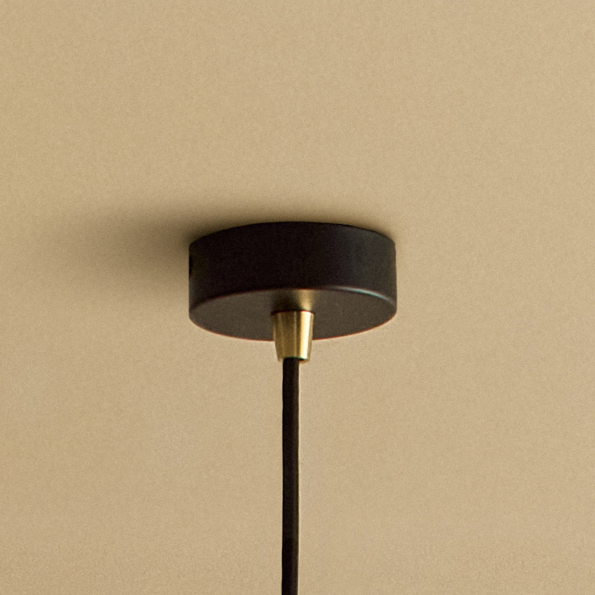Tala Oval Dim-to-Warm Pendant Light in Walnut