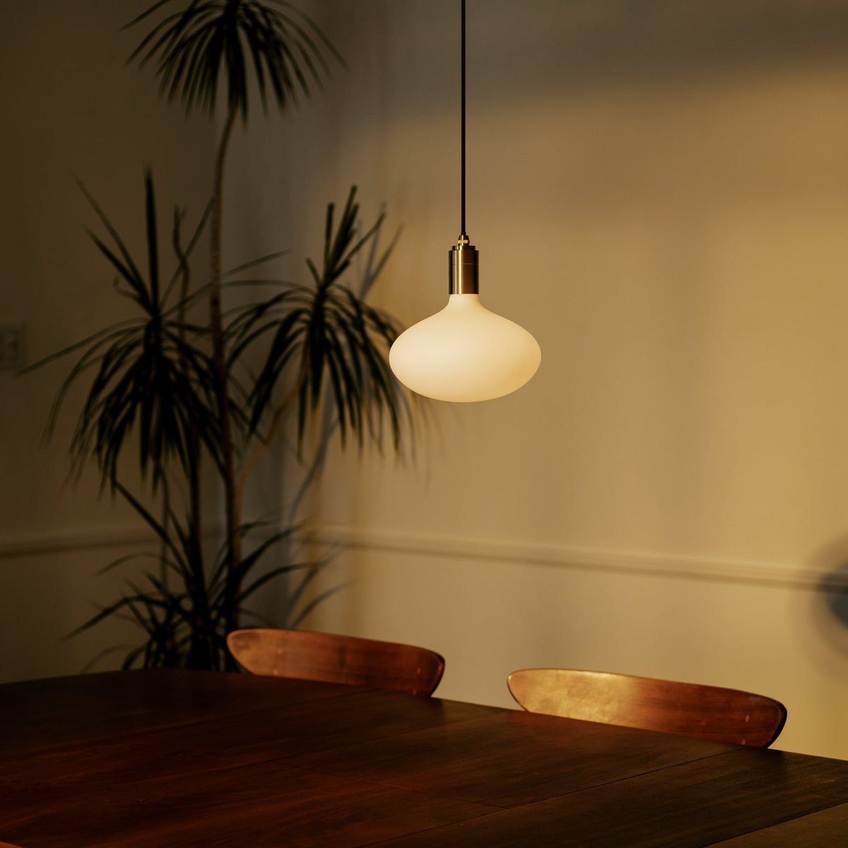 Tala Oval II Pendant Light in Brass