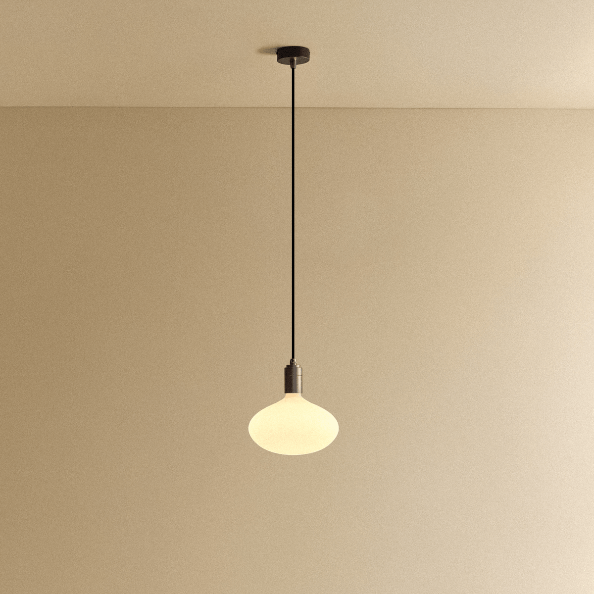 Tala Oval II Pendant Light in Graphite