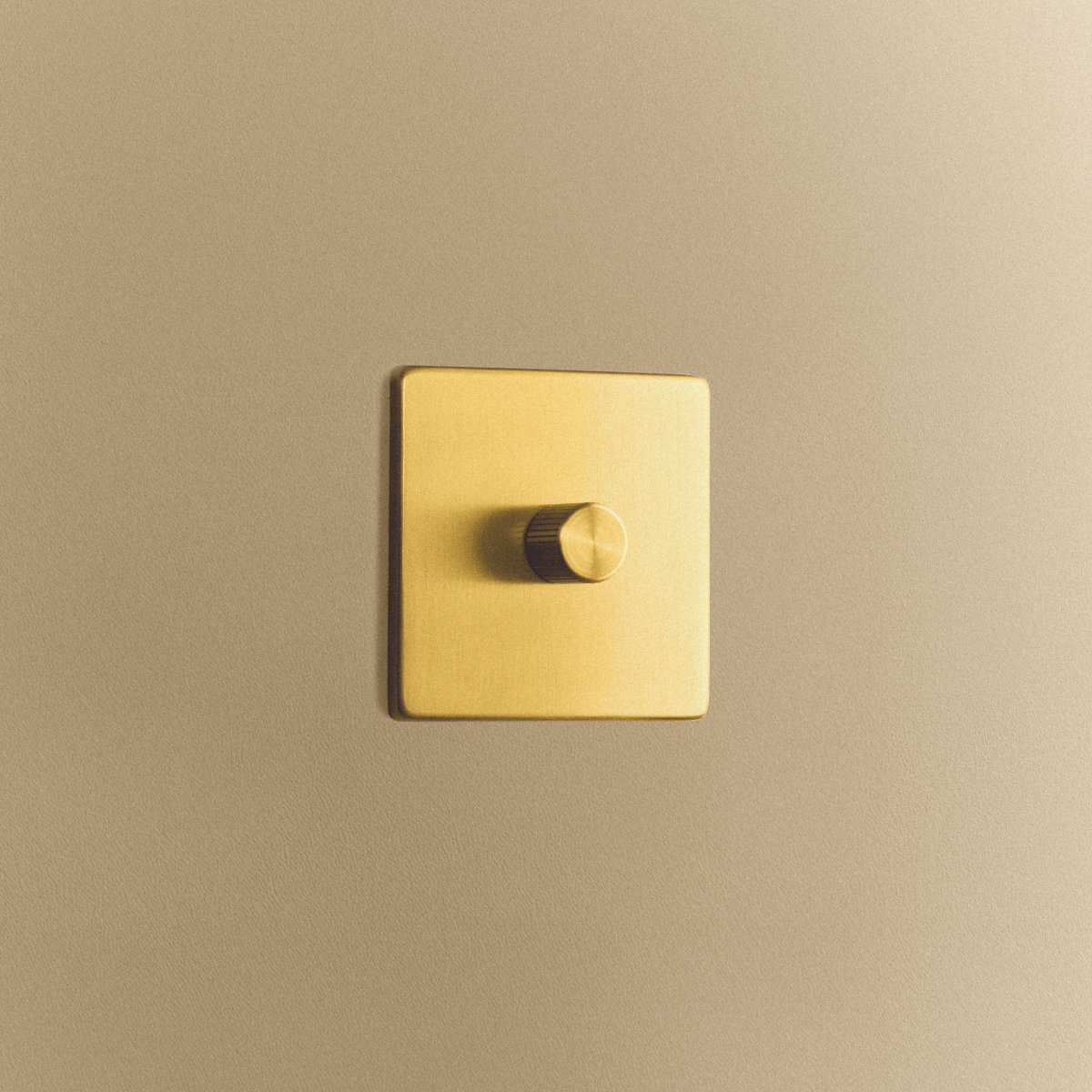 Tala Single Rotary Wall Dimmer in Brass