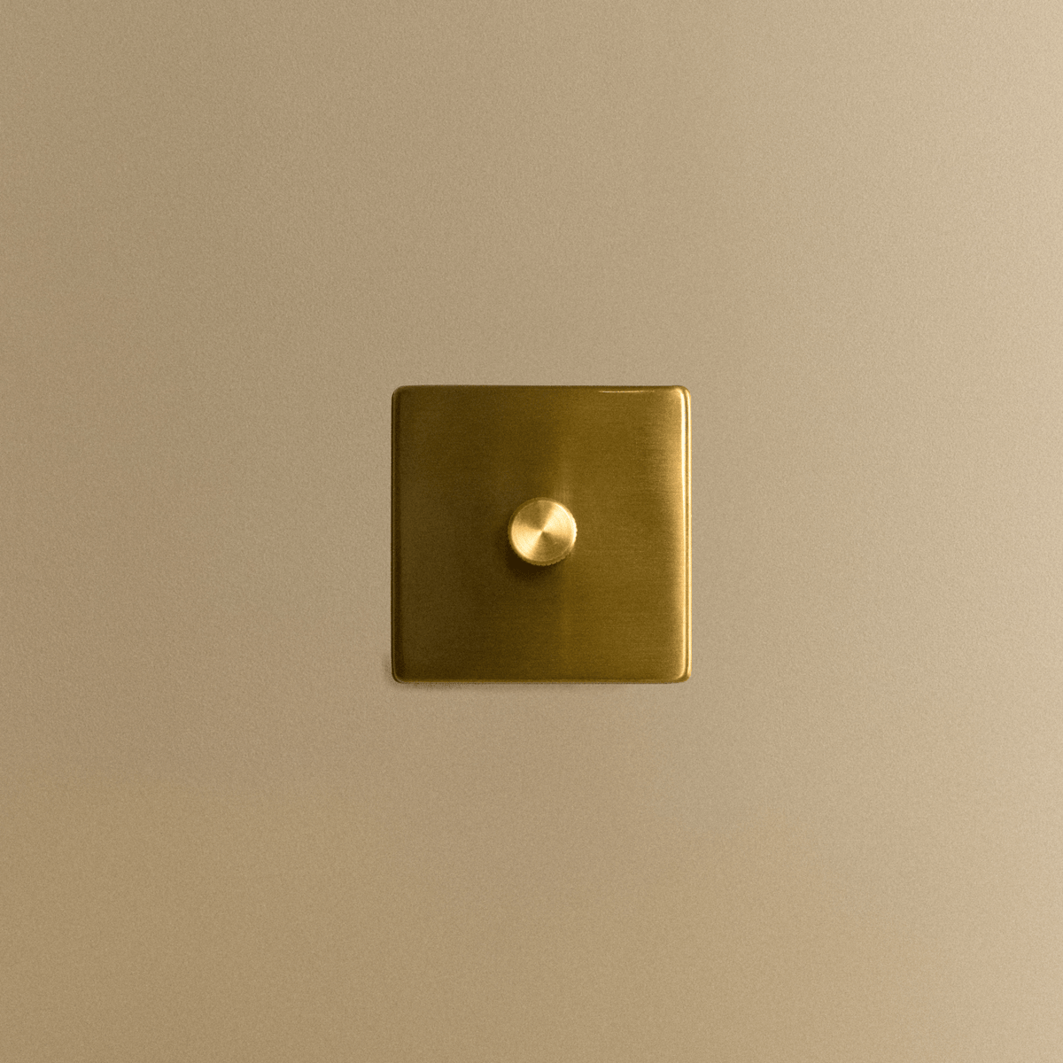 Tala Single Rotary Wall Dimmer in Brass
