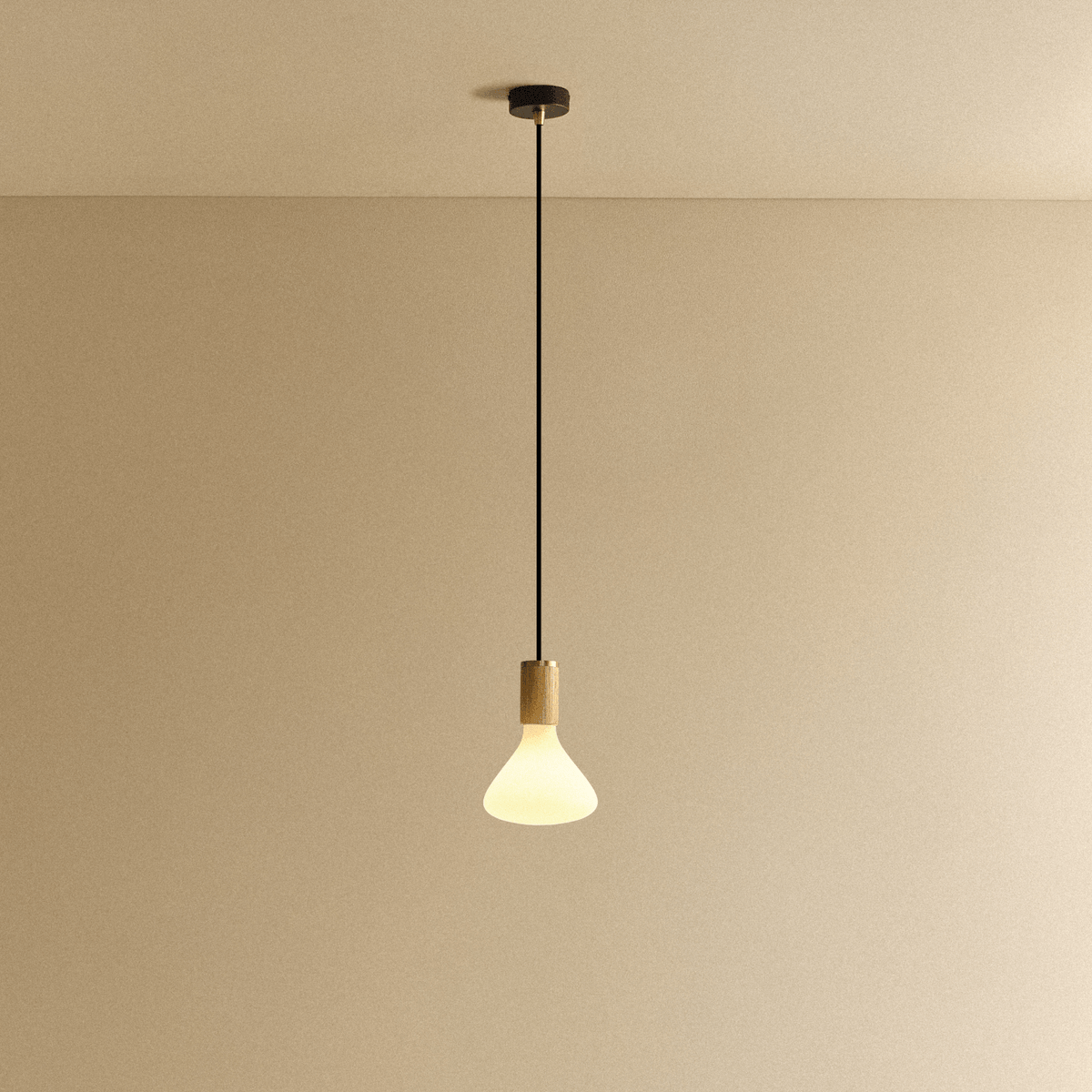 Tala Noma Pendant Light in Oak