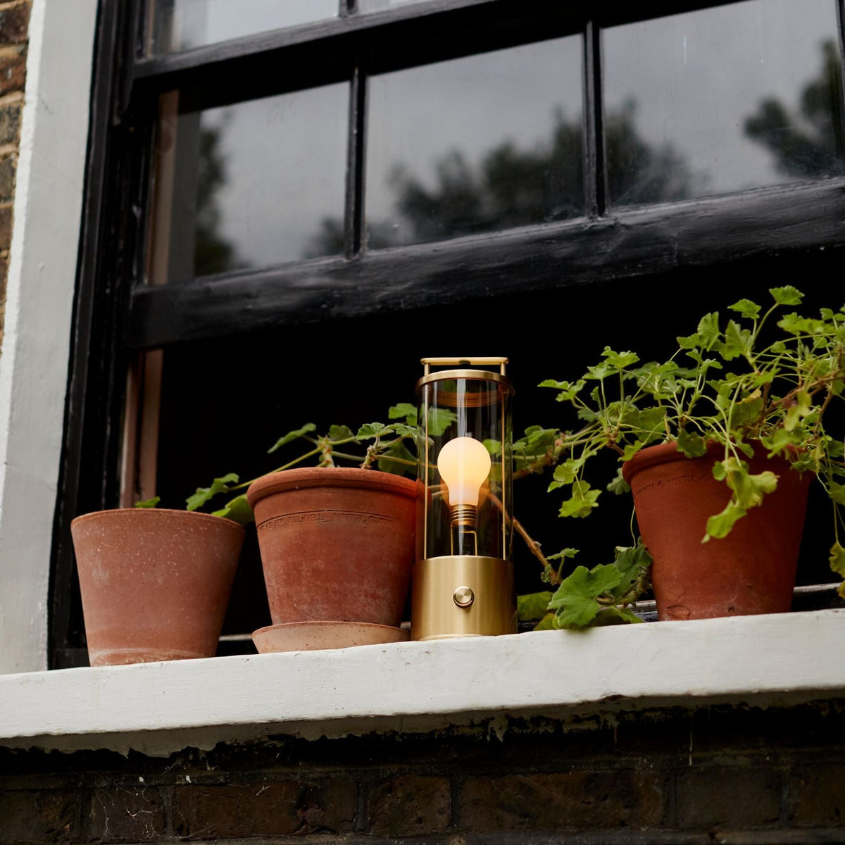 Tala The Muse 1.0 Portable Lamp in Solid Brass Bundle