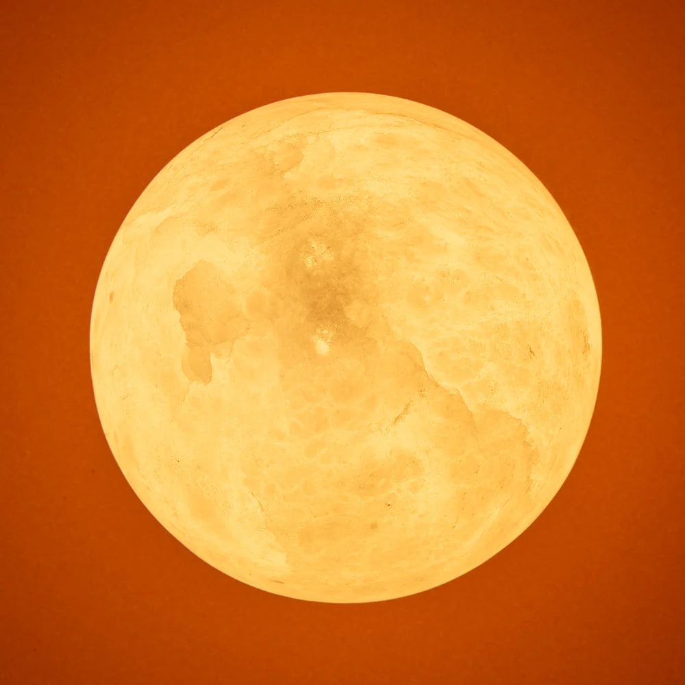 Pooky Leela Wall Light in orange