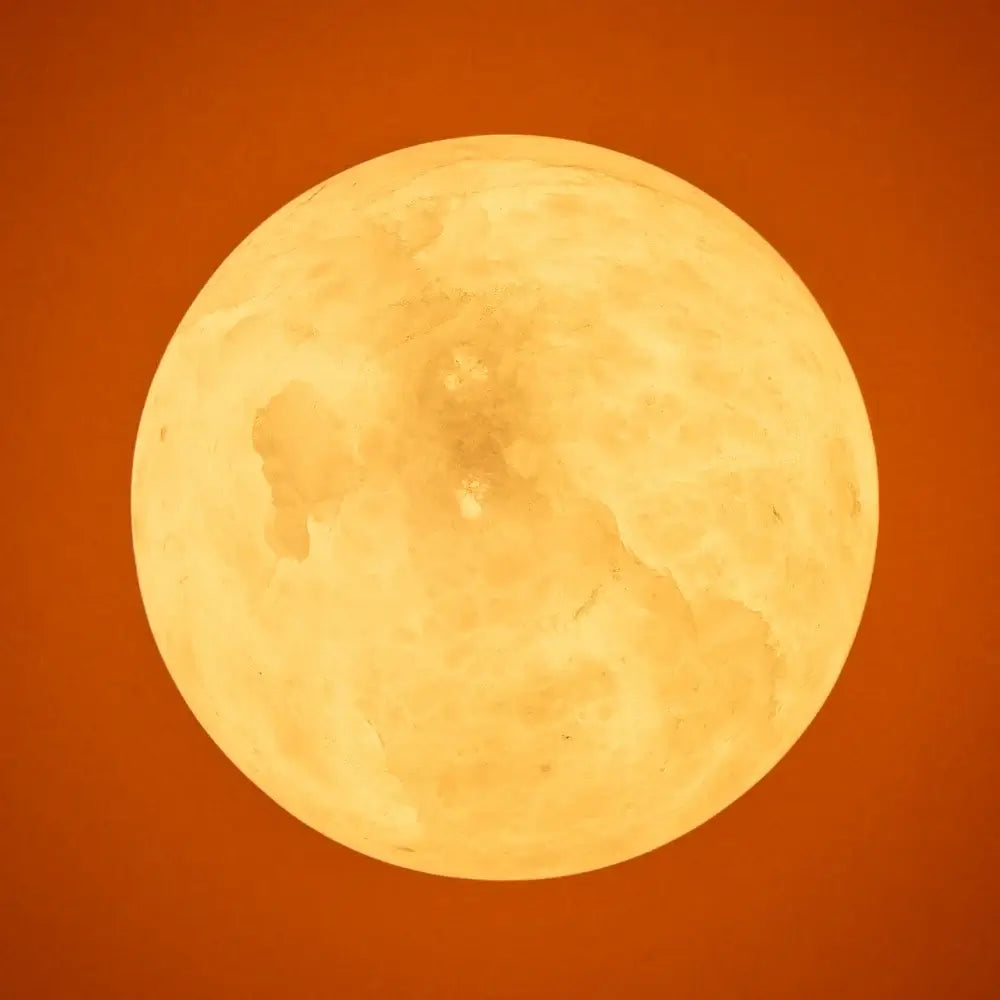 Pooky Leela Wall Light in orange