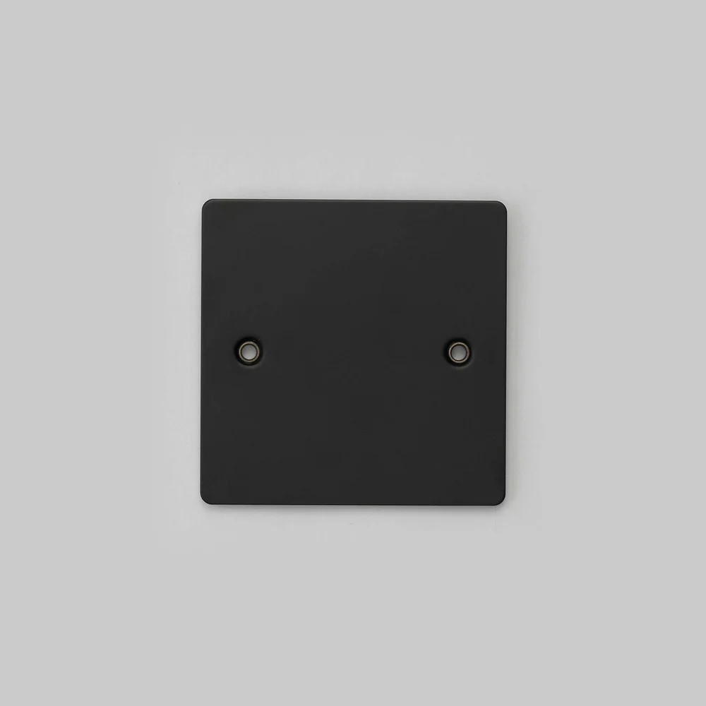 Buster & Punch - 1G Wall Plate Blank - Black Finish