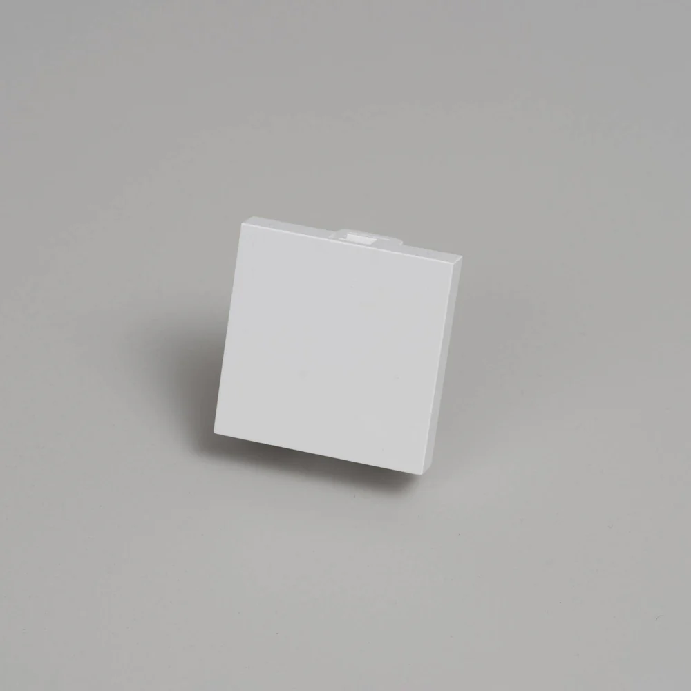 Buster & Punch - Blank Module 45 mm - White Finish