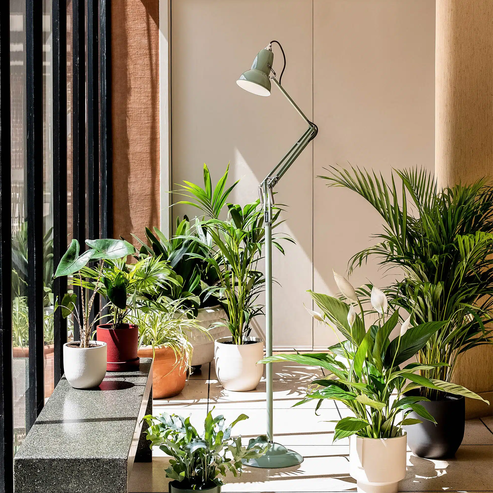 Anglepoise Light - Original 1227 Floor Lamp National Trust Edition Sage Green - Sage Green Finish - Aluminium Shade
