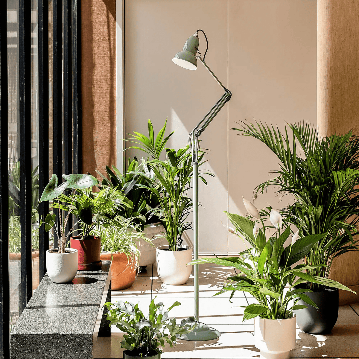 Anglepoise Light - Original 1227 Floor Lamp National Trust Edition Sage Green - Sage Green Finish - Aluminium Shade