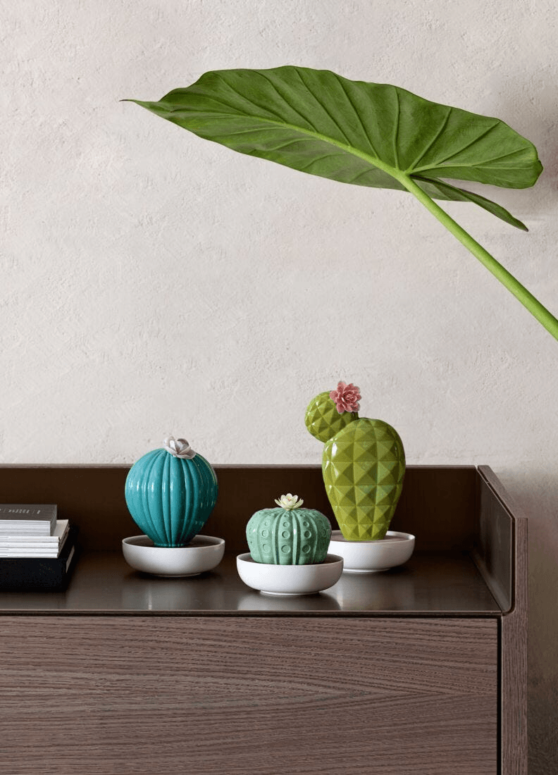 Lladró - Ferocactus Cactus Diffuser - Gardens of Valencia Scent decorative porcelain cacti on a wooden surface.