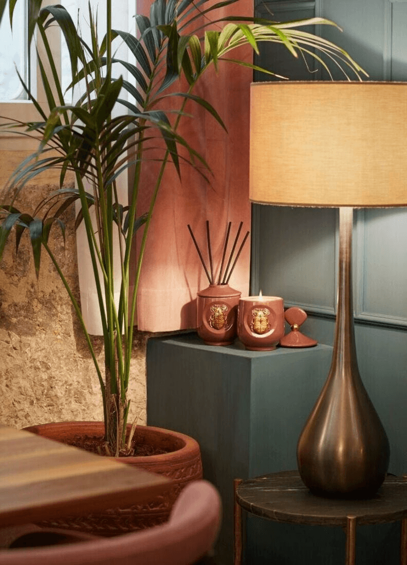 Lladró - Scarab candle Luxurious animals - Moonlight Scent displayed with plant and lamp in home decor setting.