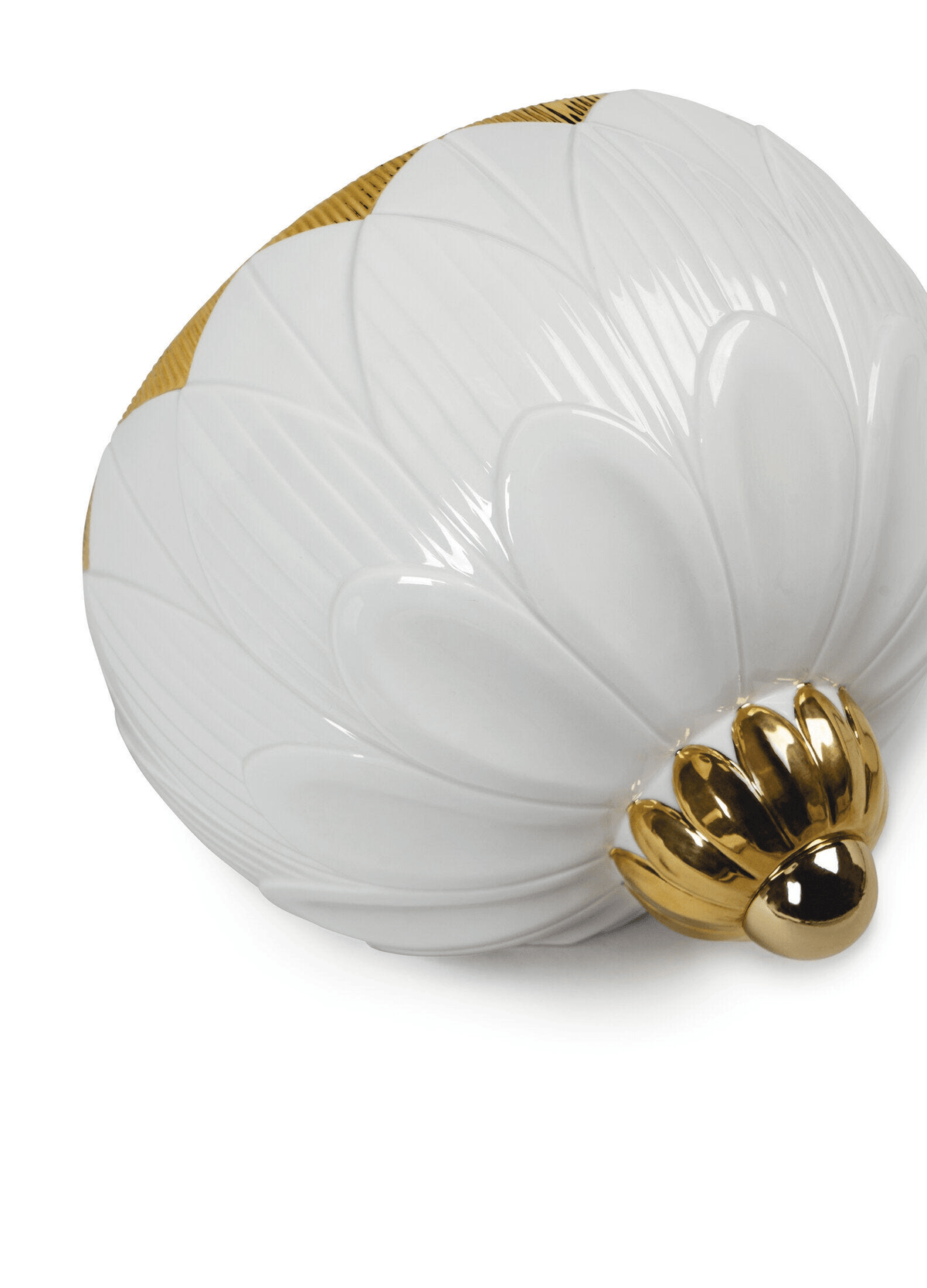 Lladró - Ivy & Seed Wall Sconce in porcelain with golden floral detailing, showcasing contemporary design.