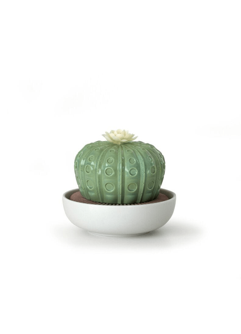 Lladró - Astrophytum Cactus Diffuser - Gardens of Valencia Scent, porcelain cactus diffuser in green.