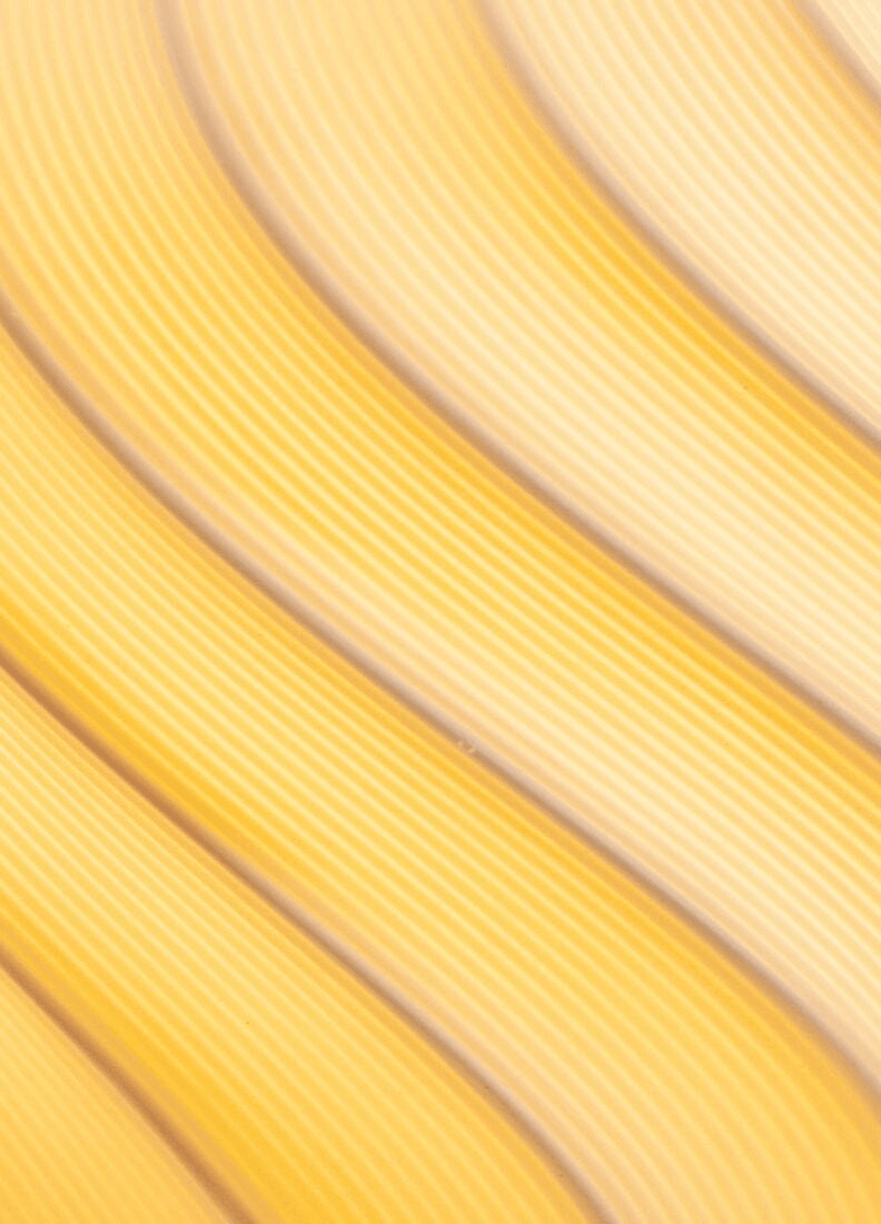 Close-up of swirled lines in matte white porcelain resembling ice cream, showcasing Lladró - Ice Cream Pendant Light design.