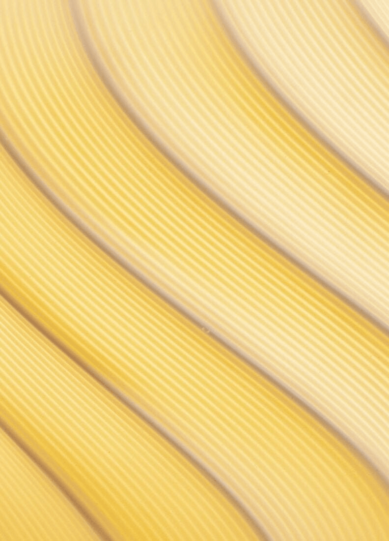 Close-up of a textured yellow surface with wavy lines, reminiscent of artistic patterns.