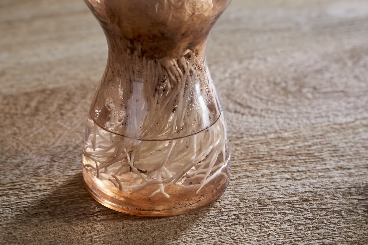 Nkuku - Enir Hyacinth Vase - Dusty Terracotta