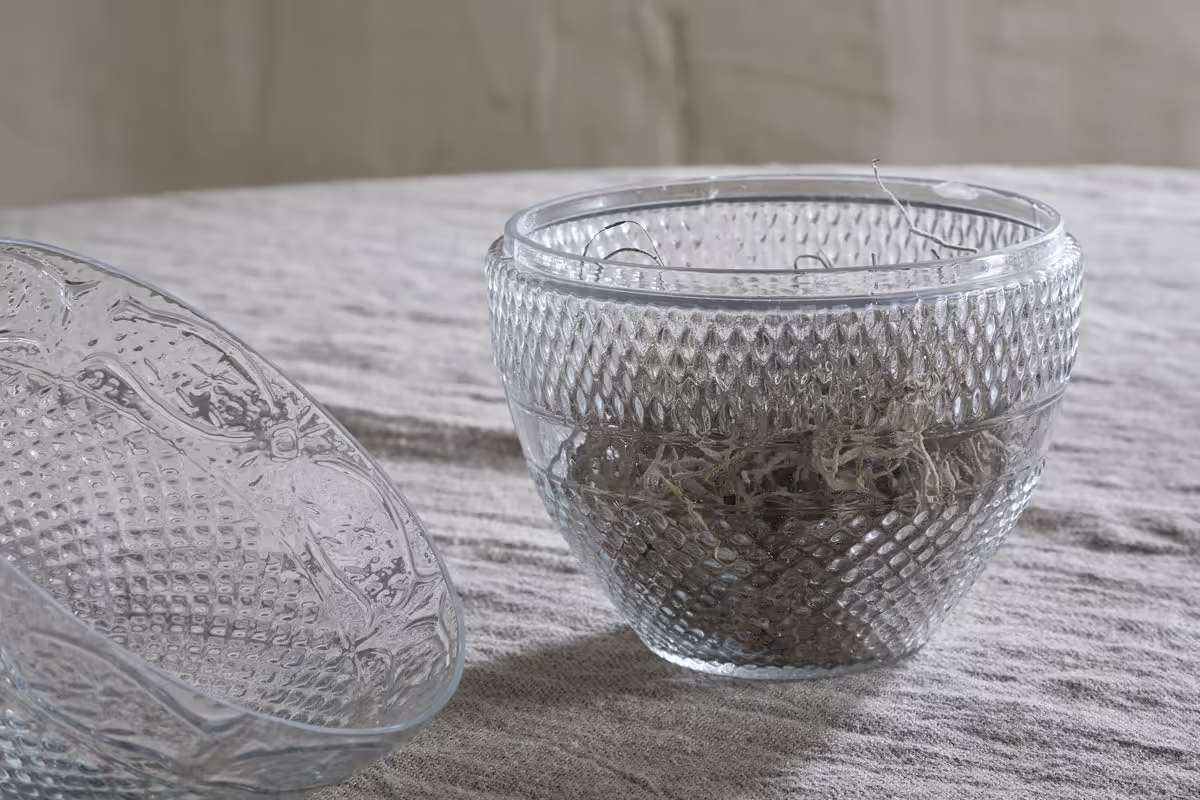 Nkuku - Essan Recycled Glass Opening Egg - Clear - Large