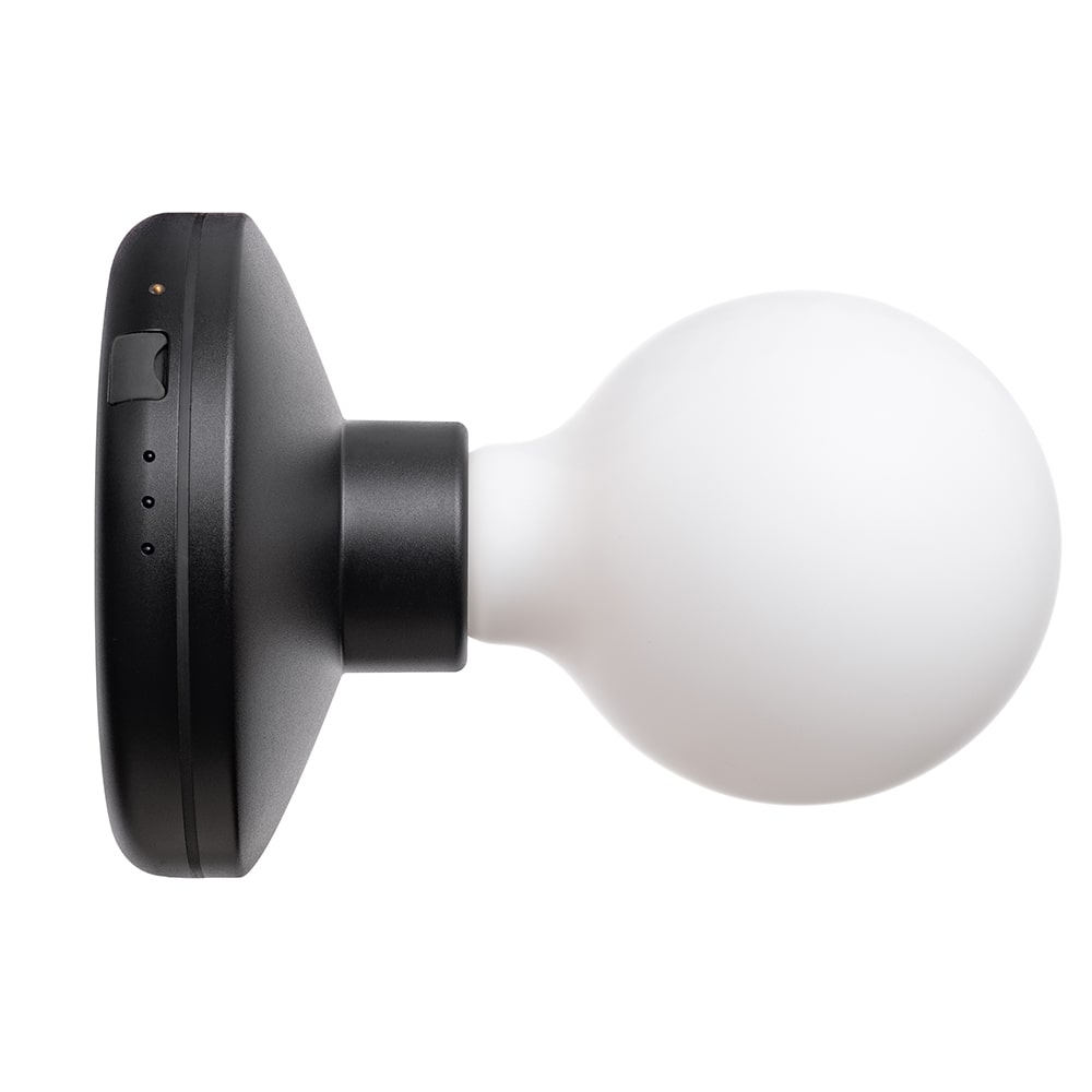 Humble Lights - Bee Wall Light Black Frosted