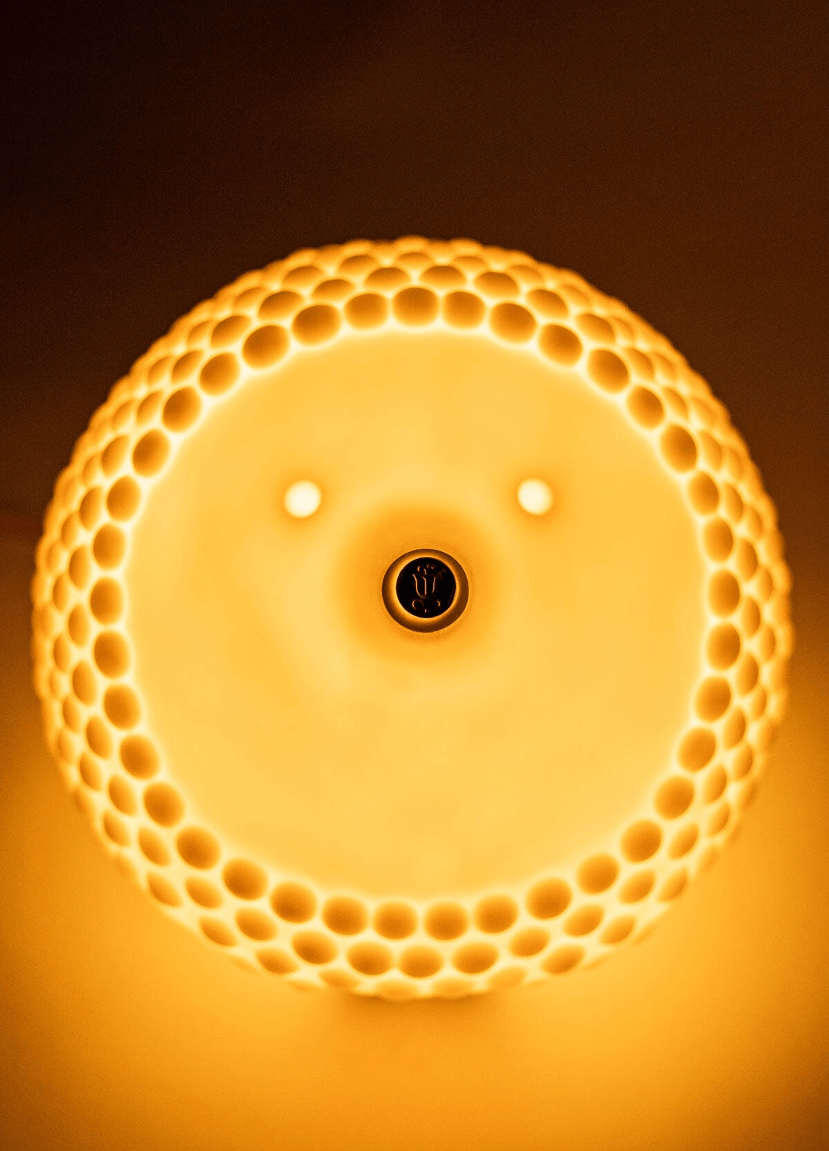 Lladró - Hedgehog Table Lamp showcasing intricately designed porcelain with a warm glow.