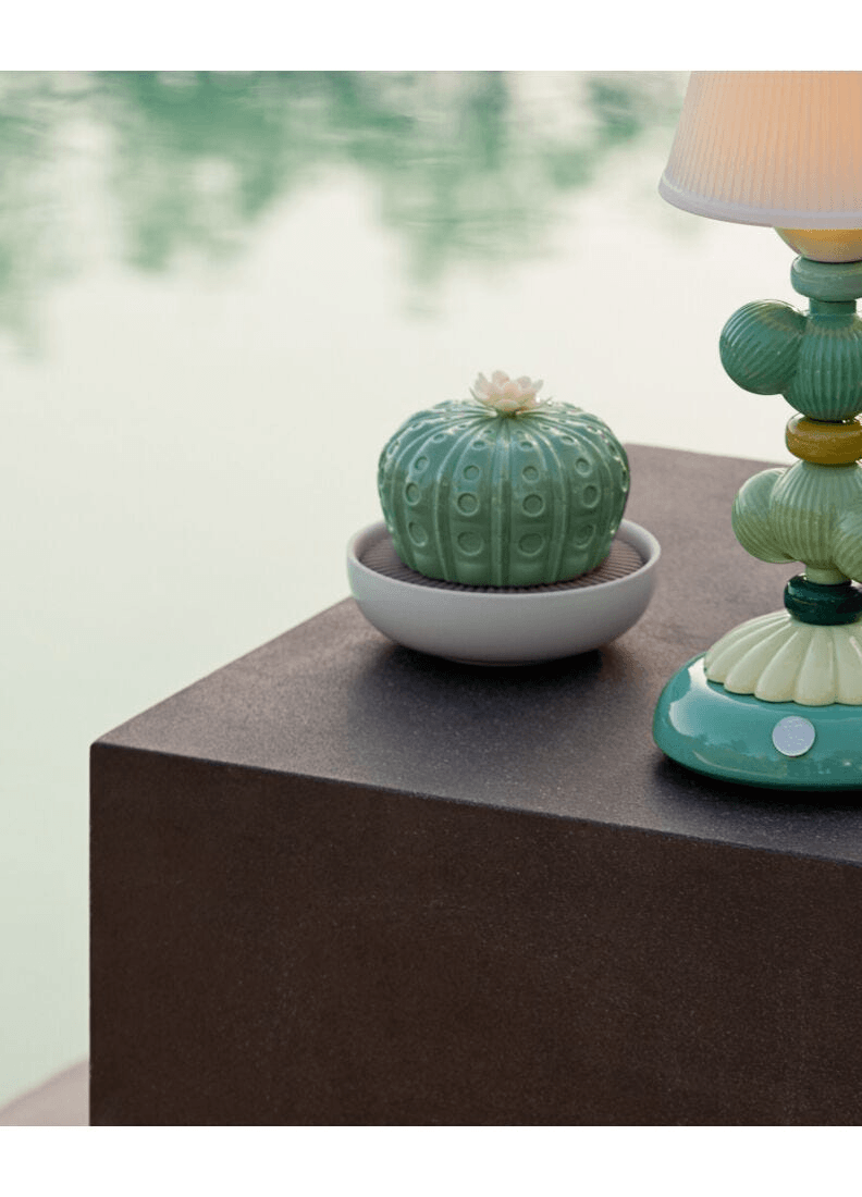 Lladró - Astrophytum Cactus Diffuser - Gardens of Valencia Scent displayed on dark surface near water.