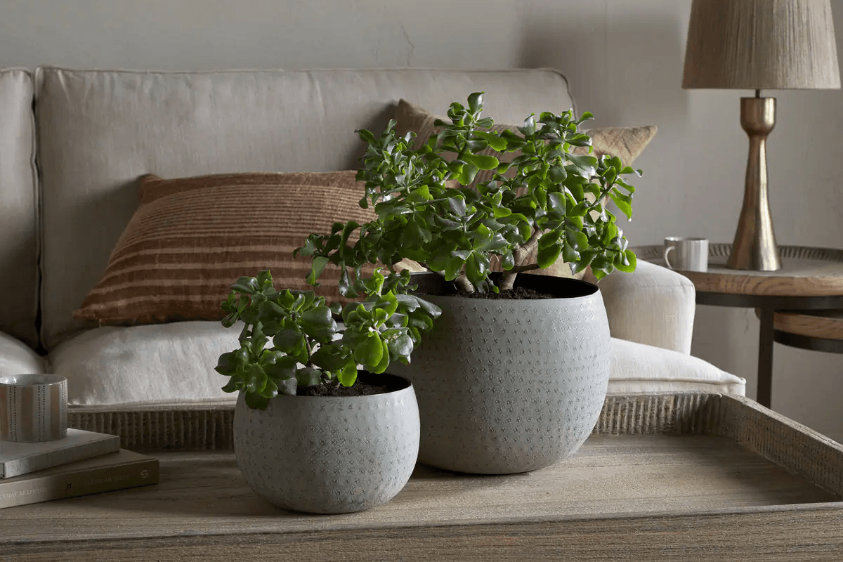 Nkuku - Laoko Planter - Olive Grey - Large