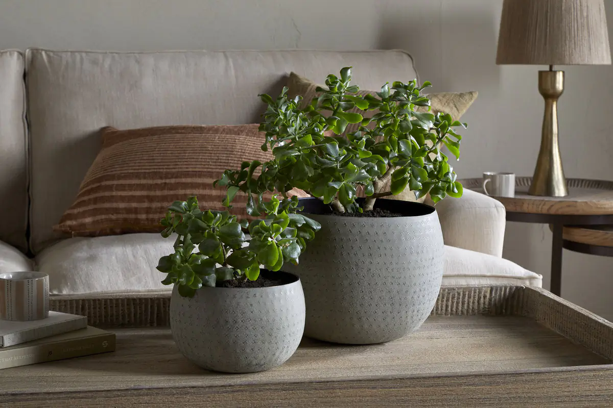 Nkuku - Laoko Planter - Olive Grey - Large