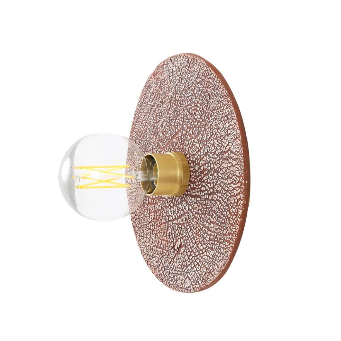 Mullan - Bog Oak Organic Ceramic Disc Wall Light Red Iron 28cm IP20 - Satin Brass Finish