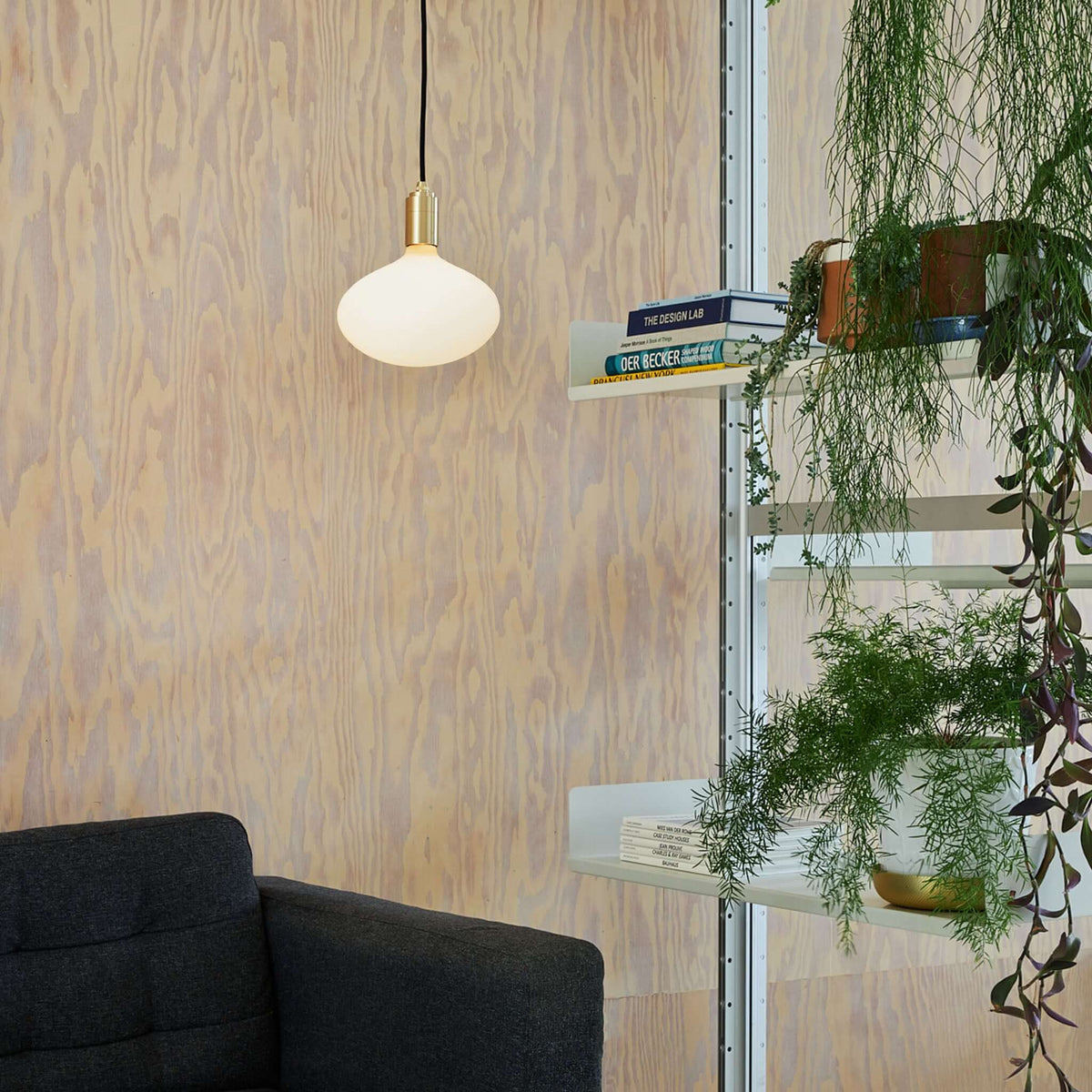 Tala Oval II Pendant Light in Graphite