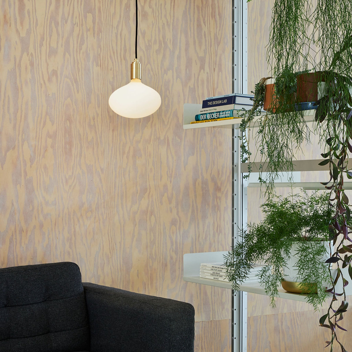 Tala Oval II Pendant Light in Graphite