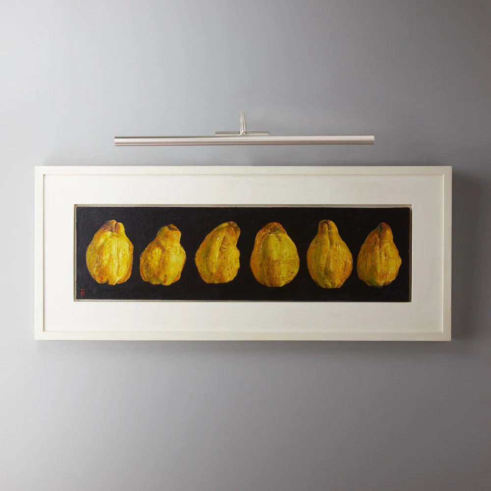 Pooky Larger Turner Picture Wall Light in brushed chrome finish