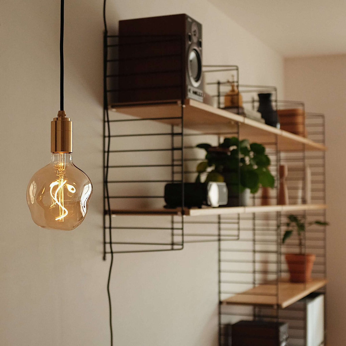 Tala Plug-In Pendant in Graphite