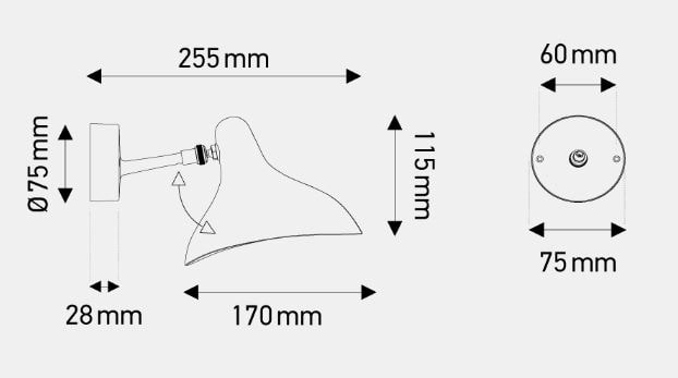 BS5 Mini dimensions-min
