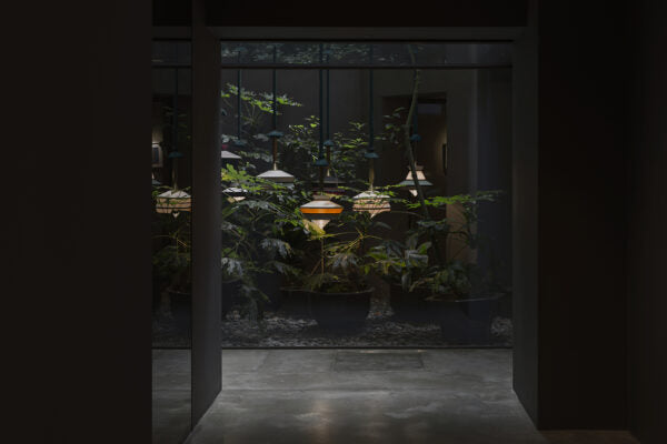 Contardi Calypso Suspension Lamp - Matt Gold Lacquered Frame Green Waterproof Braided Rope - Guadaloupe Black Shade